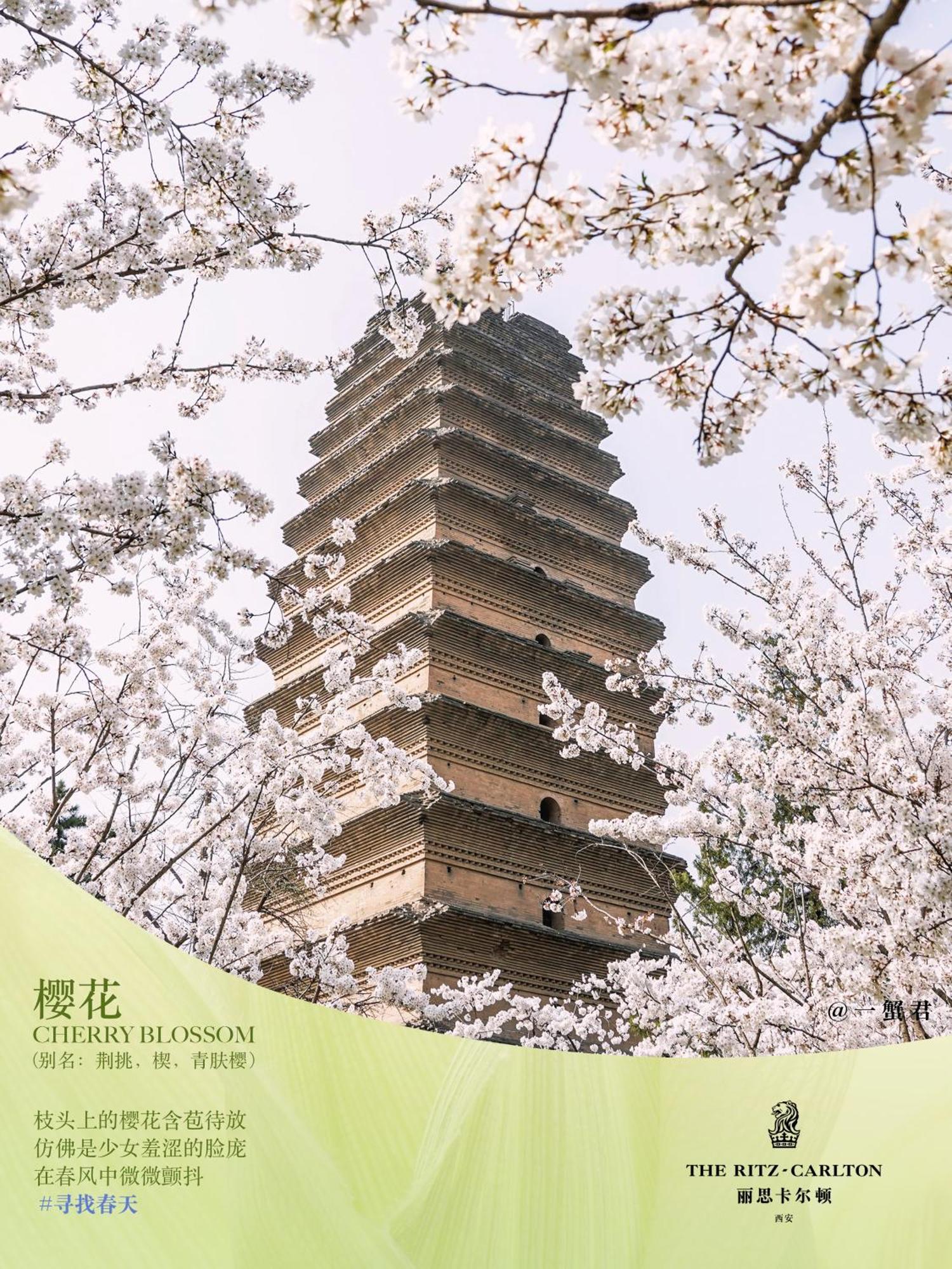 The Ritz-carlton, Xi'an 5* Xi'an (Shaanxi)